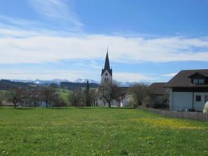 Eisenharz im Frühling