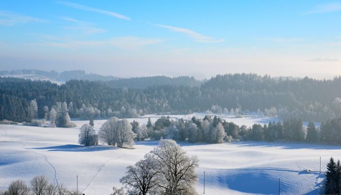 Notenweiher Winter