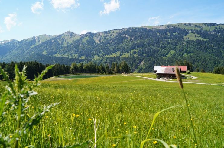 Gaisrücken bei Ofterschwang