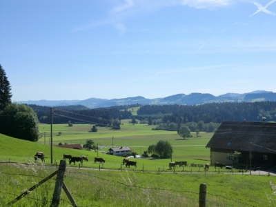 Westallgäuer Radtourenfahrt