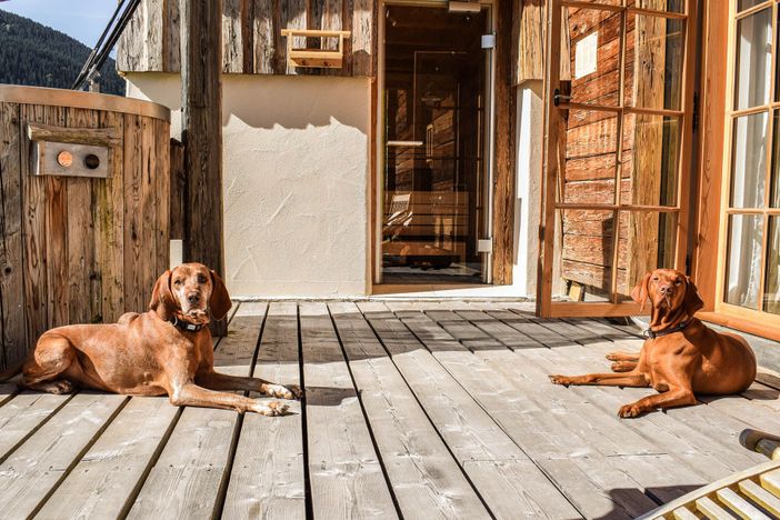 Schrofen Chalets Hunde willkommen