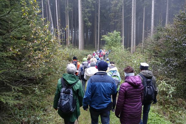 Gemeinsam des Weges gehen