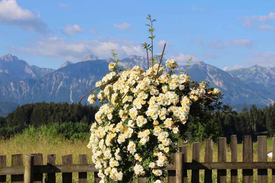 Stögerhof - Gartenblick nach Südwesten