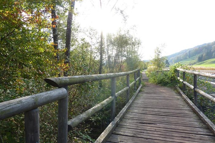 Wanderweg am Alpsee