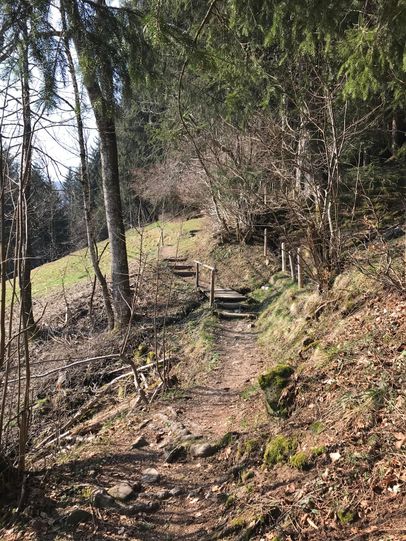 Waldweg Richtung Sonderdorf