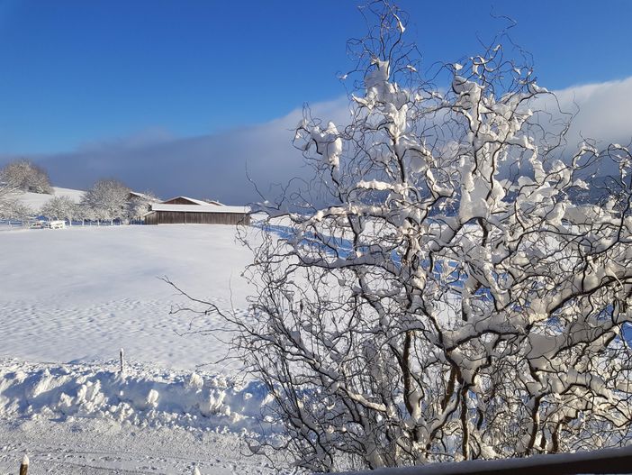 Winter im Alpenglück