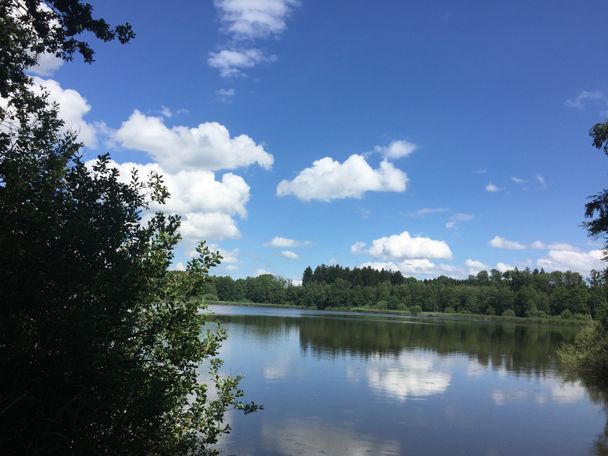 Schlossweiher in Ratzenried. Bei schönem Wetter ist ein Bad möglich.