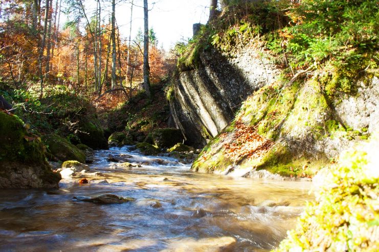 Kulinarische Genusstour durch das Steigbachtal