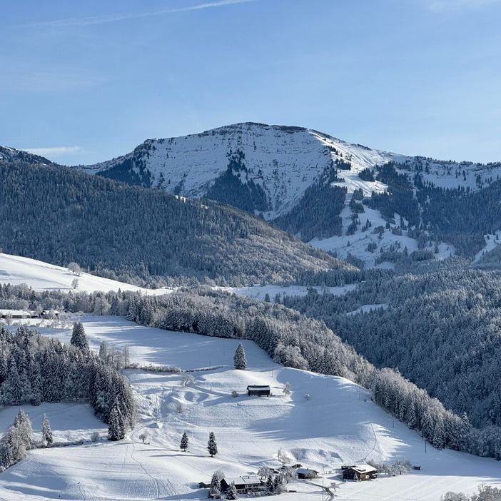 Blick auf den Hochgrat im Winter