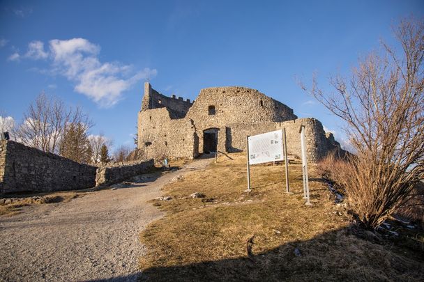 Burgruine Eisenberg