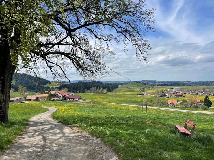 Auf der Fahrt vom Laubenberg