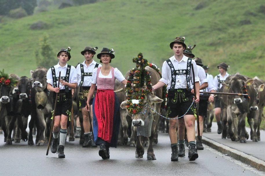 Viehscheid in Balderschwang