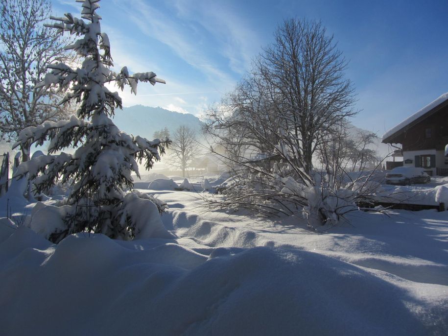 Garten im Winter