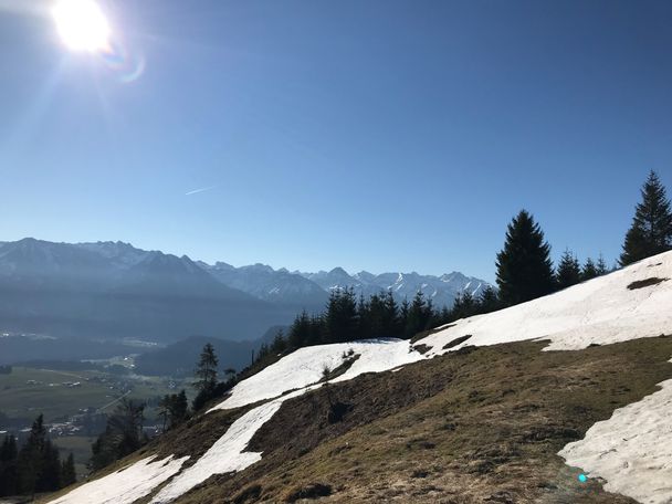 Blick auf die Allgäuer Bergwelt