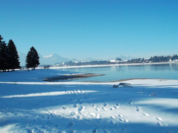 Winter am Forggensee