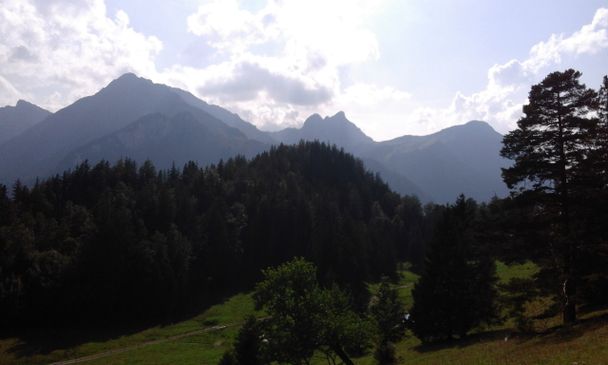 Blick auf die Allgäuer Alpen