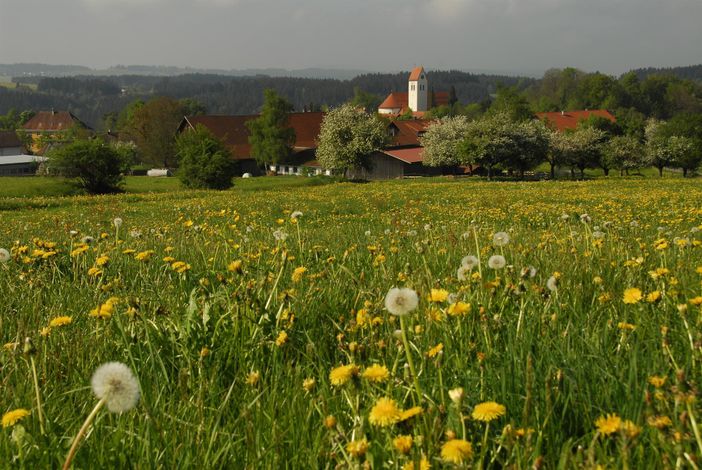 Ferienwohnung Familie Kleinert - Blick aufs Dorf