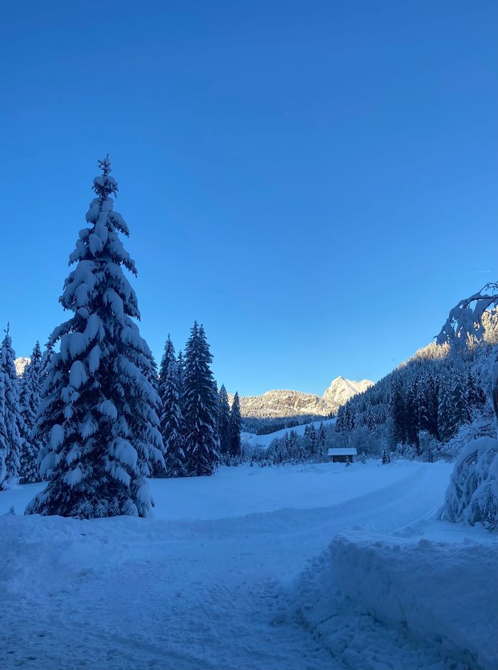 Weg zur Vilsalpsee