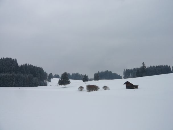 Hügellandschaft bei der Alpe Hochegg