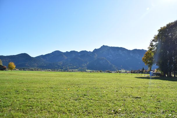 Blick auf den Tegelberg vom Forggenseeufer aus