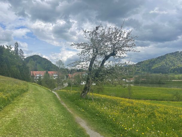 Grenzweg bei Eibele