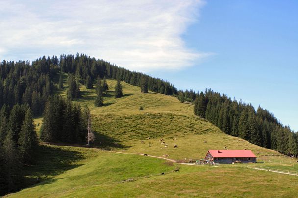 Fahnengehren Alpe in Ofterschwang