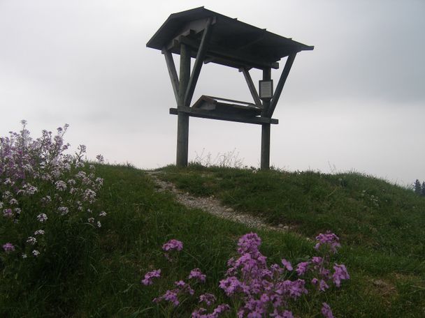 Am höchsten Punkt des Panoramawegs treffen wir auf eine Informationstafel.