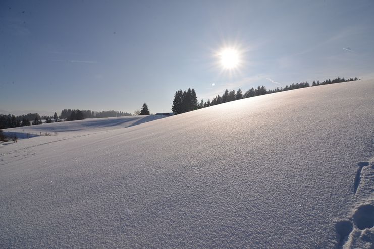 Scheideggs Winterlandschaft