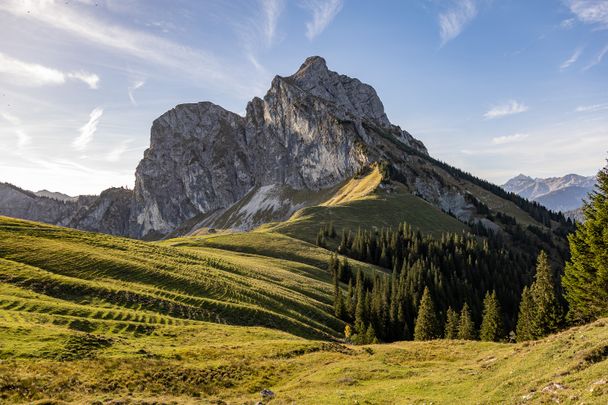 Blick auf den Aggenstein vom Breitenberg