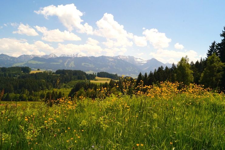 Sagenhafter Weitblick vom Ofterschwanger Horn