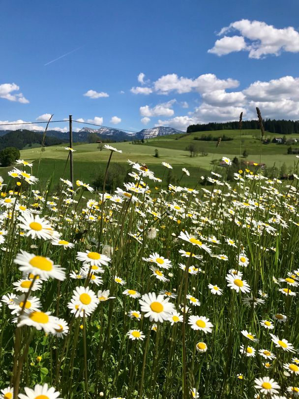 Rund um Stiefenhofen bietet herrliche Aussichten auf Oberstaufen