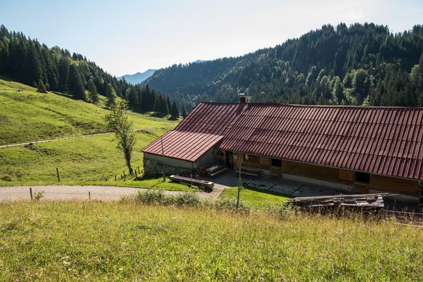 Blick auf die Alpe im Lochbachtal