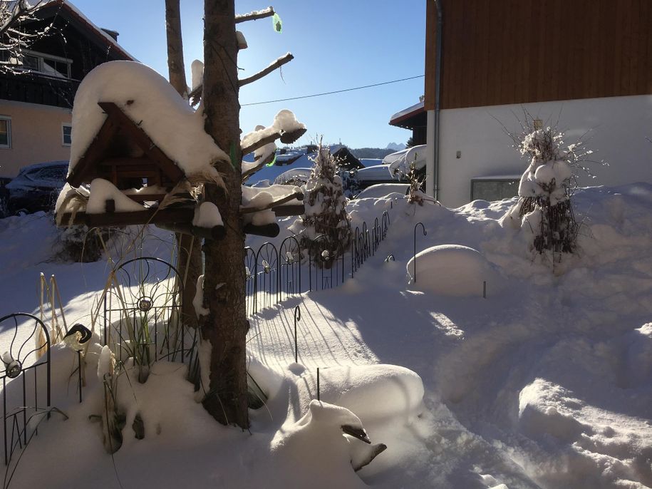 Garten im Winter