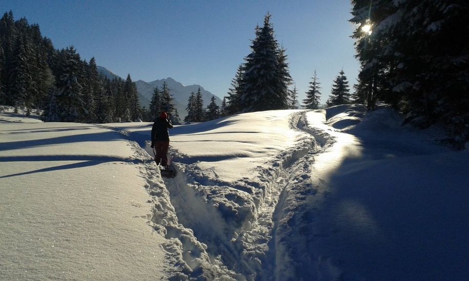 Winter-Wanderung