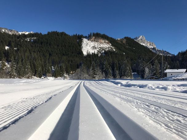 Beschneite Loipe Haldensee - große Runde