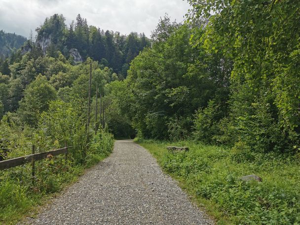 Kiesweg Hohenschwangau