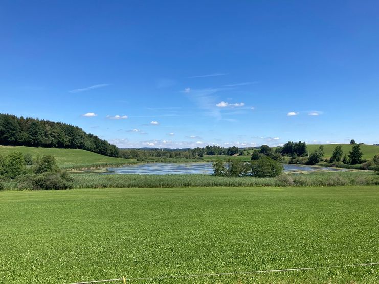 Ausblick auf den Schwarzensee