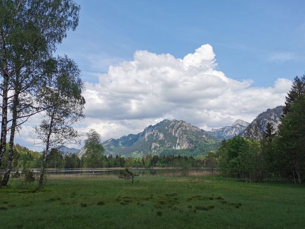 Swan Lake Circular Trail