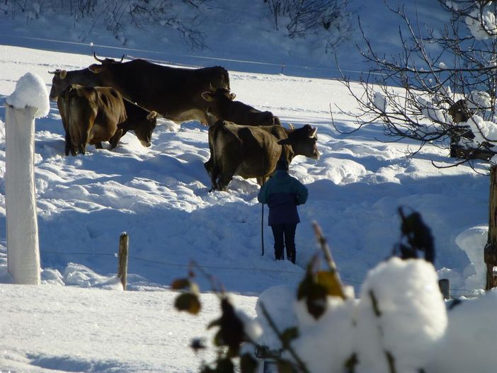 Wellness im Schnee