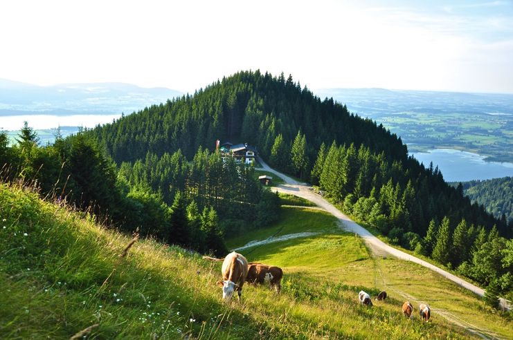 Blick vom Tegelberg zur Rohrkopfhütte