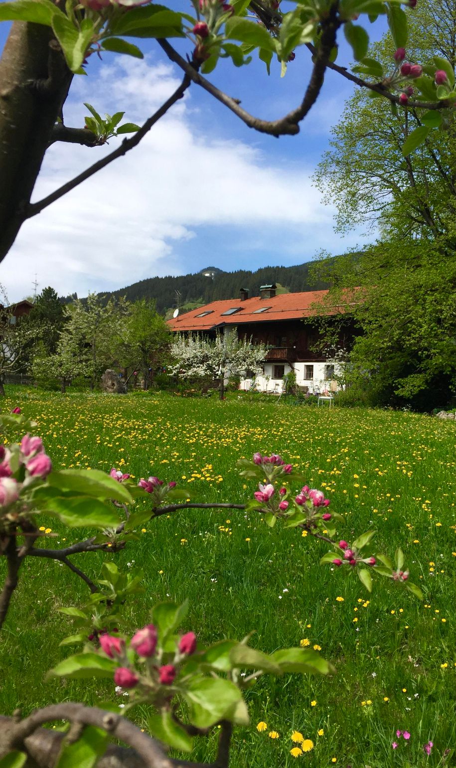 Beim Hummelbaur