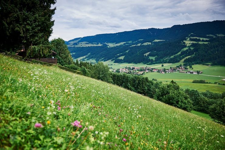 Ausblick auf Thalkirchdorf