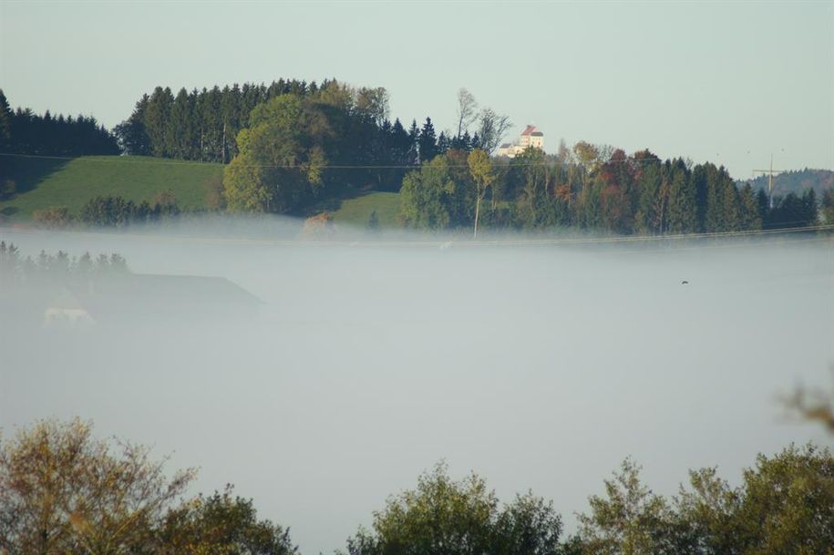 Blick zur Waldburg