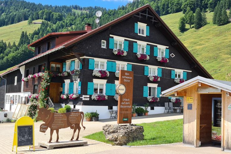 Alpe Berg und Käseautomat in Balderschwang