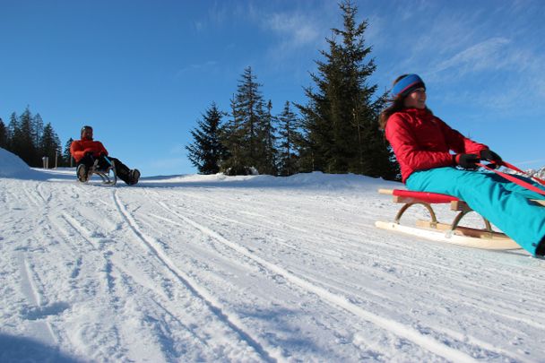 Rodelbahn Adlerhorst