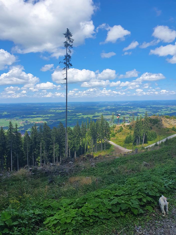 Alpspitze