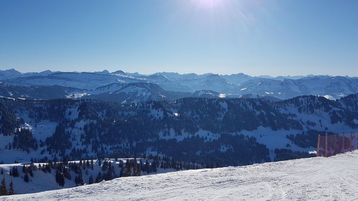 Winterpanorama vom Hochgrat