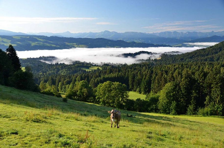 Herbststimmung im Allgäu