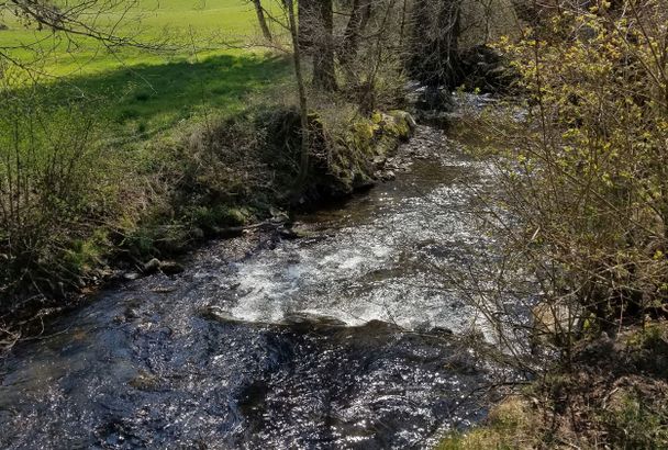 Wanderrundweg 13: "Über Siglisberg nach Haslach"