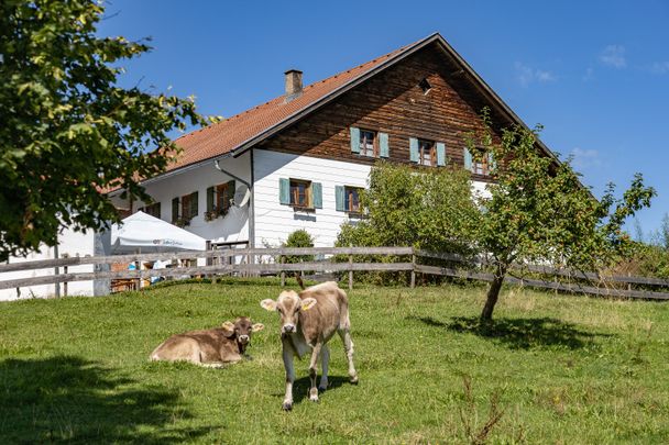 Alpe Kögelhof